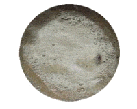 soapnut bubble