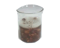 soapnut